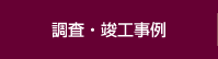 調査・竣工事例